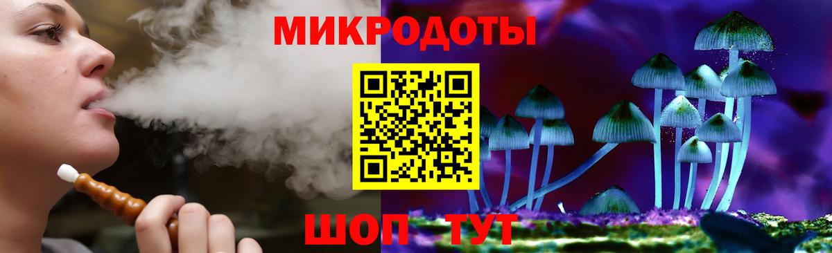 Псилоцибиновые грибы Psilocybine cubensis Узловая